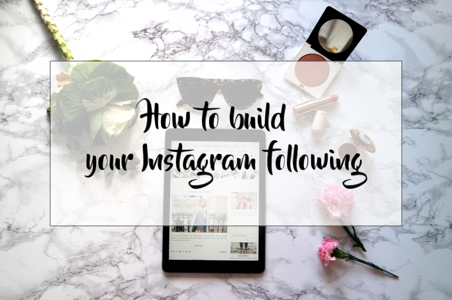 How to build your Instagram following