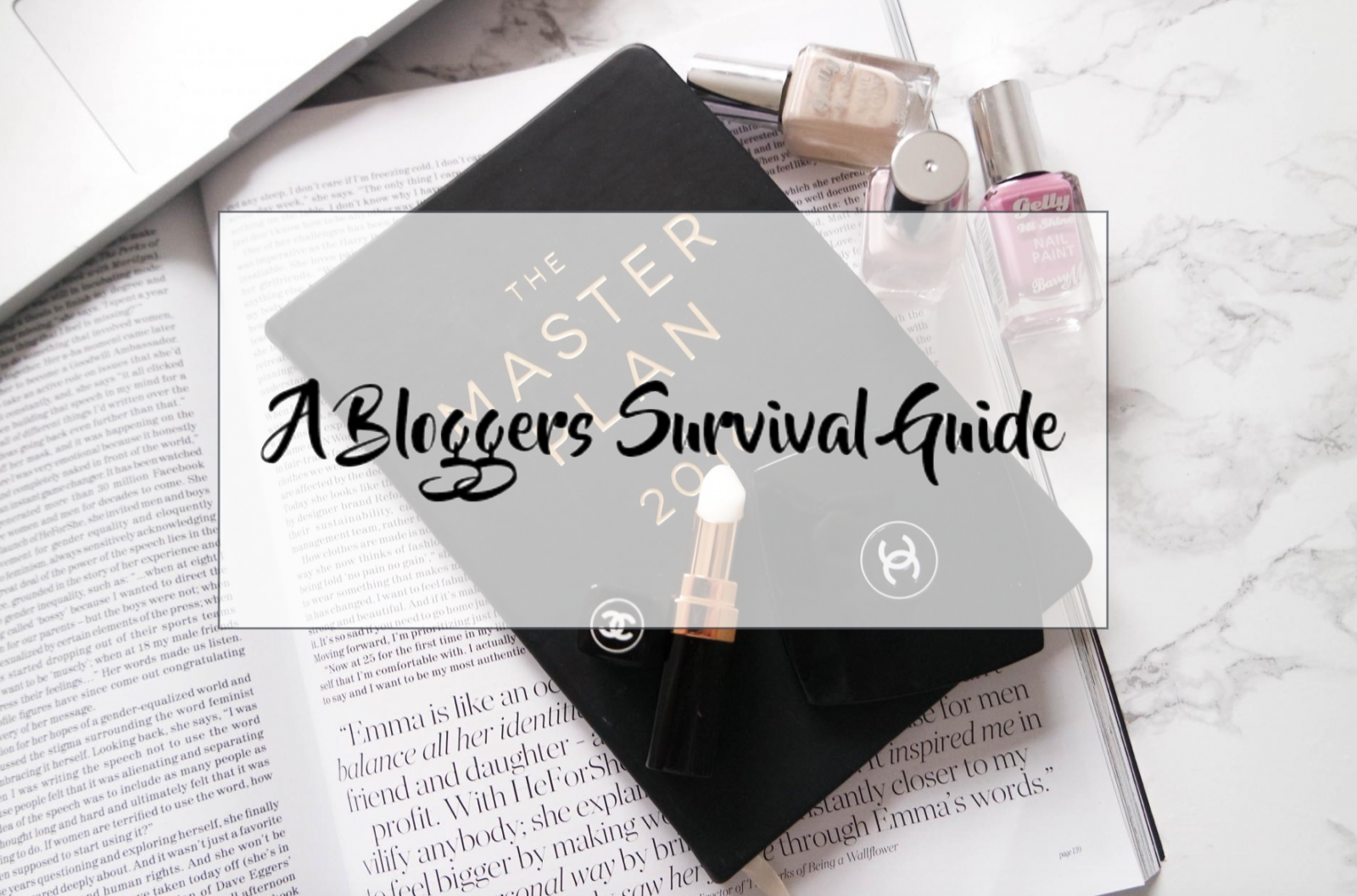 A Bloggers Survival Guide