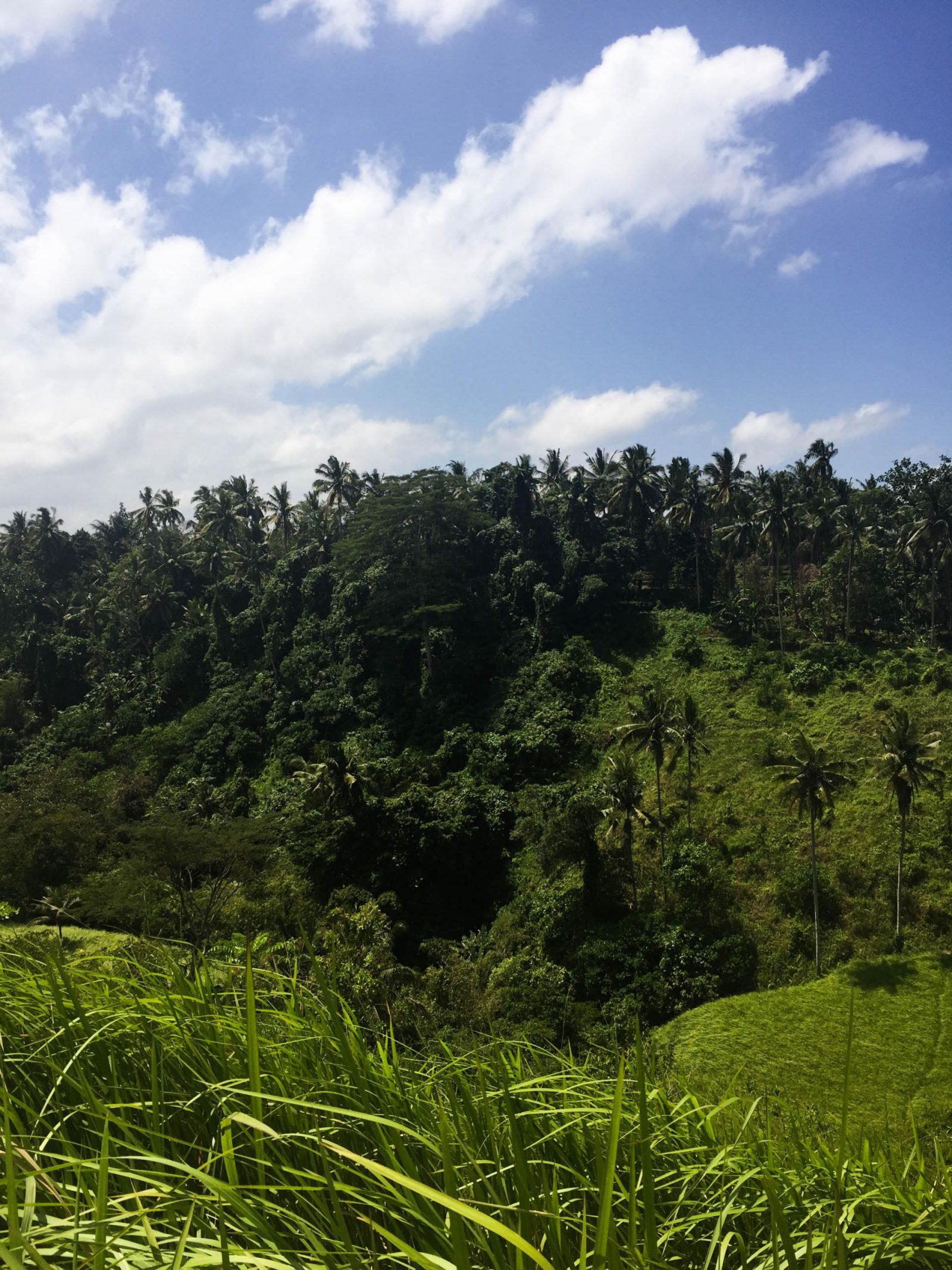 A Quick Guide To UBUD, Bali