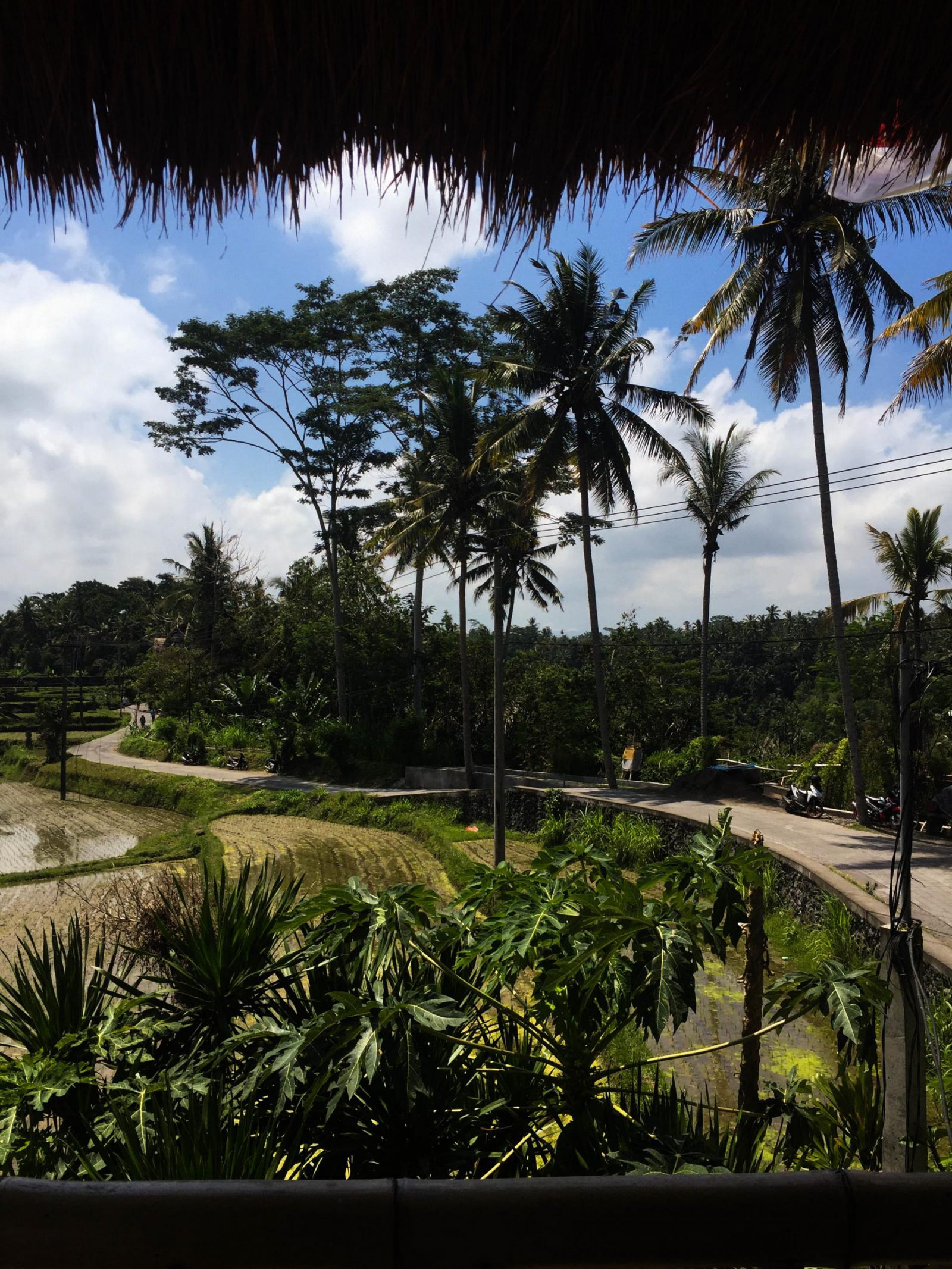 A Quick Guide To UBUD, Bali