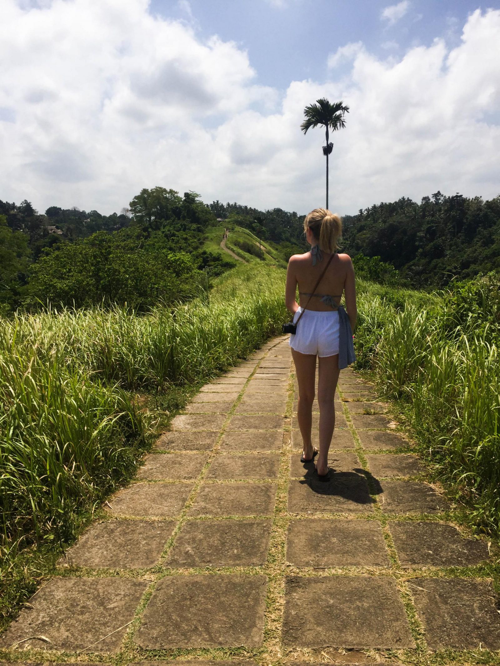 A Quick Guide To UBUD, Bali