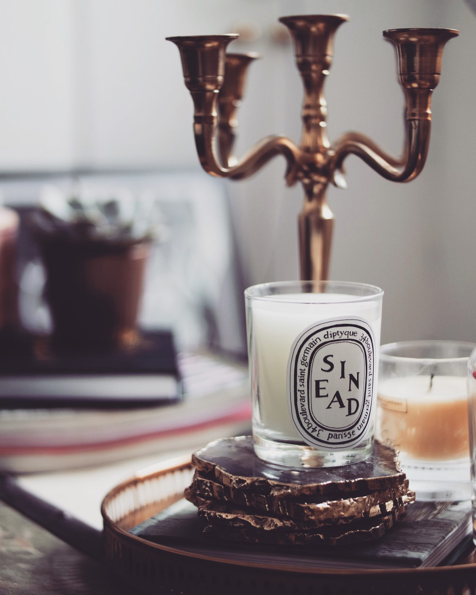 Homeware Haul - Diptyque Candle Baies