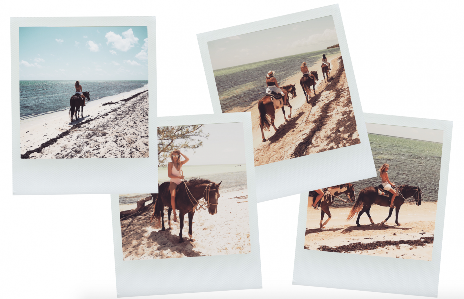 Cayman Islands Horse Riding on the Beach