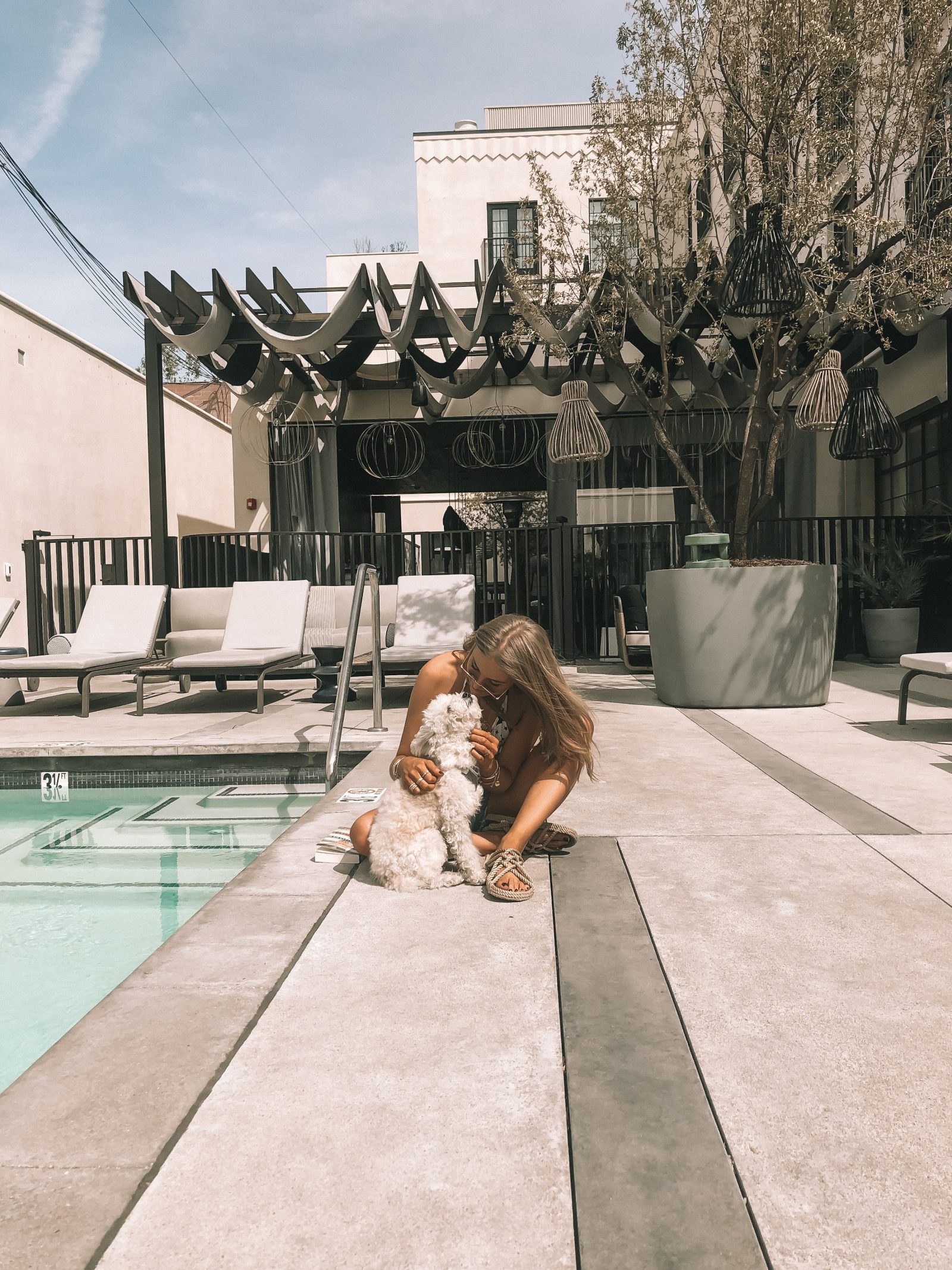 Dog Friendly hotel in West Hollywood, Los Angeles - The Kimpton La Peer by Melrose