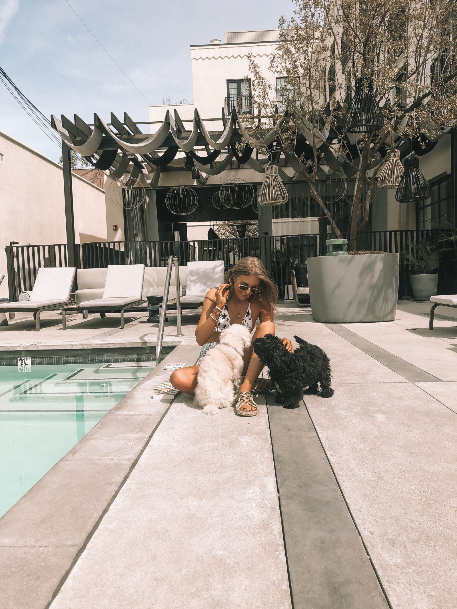 Playing with Puppies by the pool in west hollywood at the Kimpton La Peer Hotel