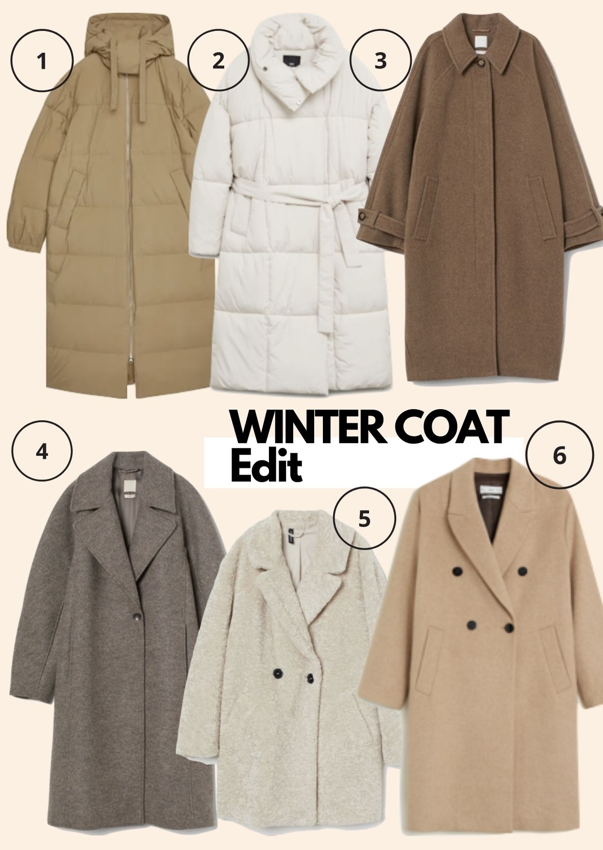 winter coat edit