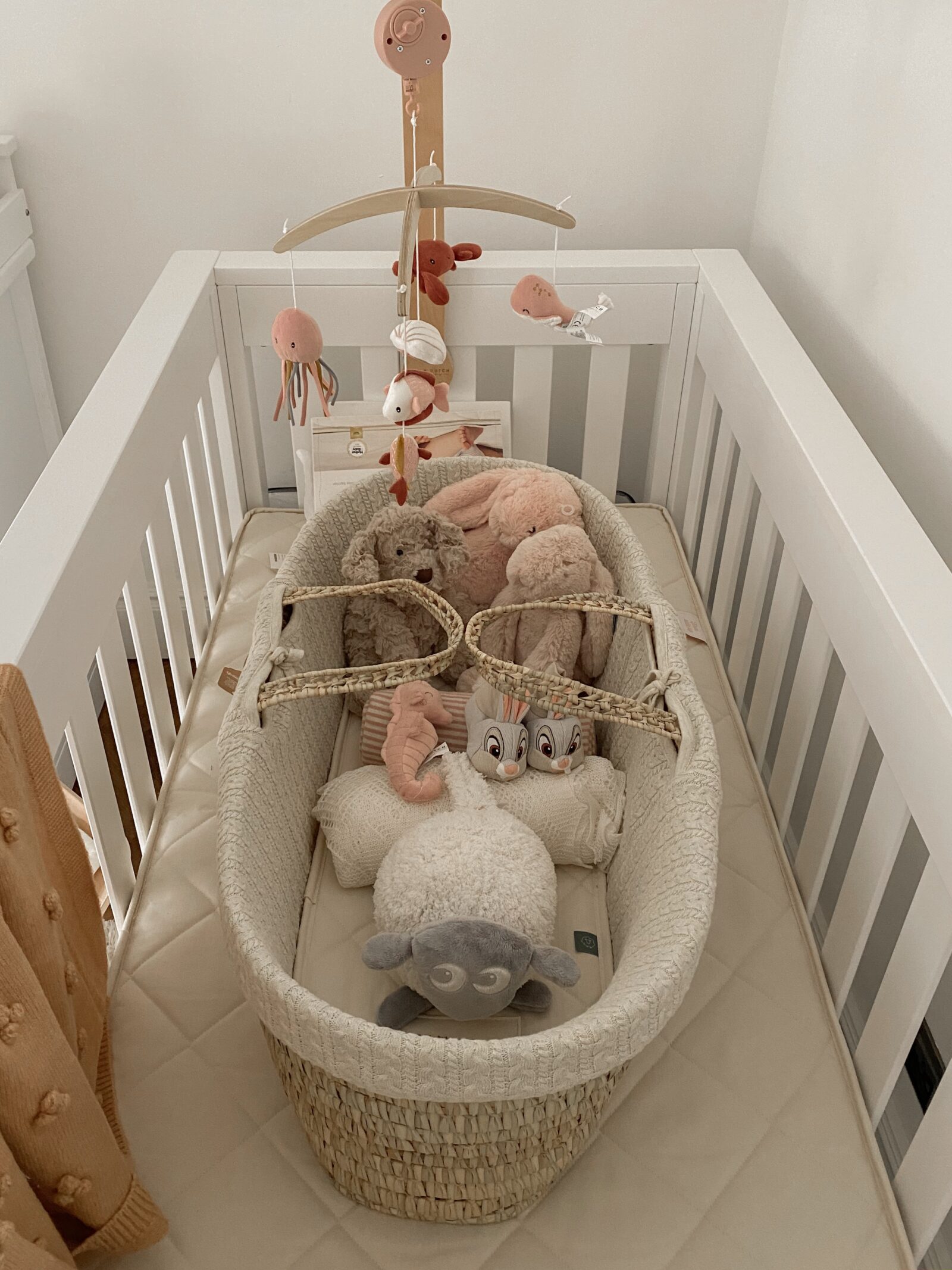 Baby Girl Nursery Decor - Moses Basket